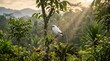 © Suparjo - White bird perched on tree in lush tropical forest at sunrise