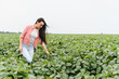 © Serhii - Female farmer examining soybean plants in cultivated field