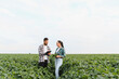 © Serhii - Farmers examining soybean crop in cultivated field