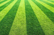 © jianhua - A well-maintained lawn with alternating light and dark green parallel stripes, forming a neat, orderly grassy expanse.