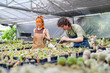 © Charlie's - Young Asian Gen Z Men and Women Caring for Cactus Farm Small Eco-Friendly Business.
