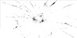 © TRIPPLE THREE - Vector illustration of shattered glass or broken screen with cracks and shards on white grunge background for design and texture