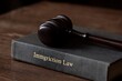 © kale.studio - A dark brown wooden gavel resting on a book titled immigration law on a wooden table