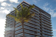 © J.P. - Modern Residential Building with Palm Tree in an Urban Setting