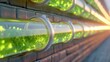 © MarinkaLev - Close up of a futuristic bio curtain facade, flexible glass tubes filled with bubbling neon green microalgae, industrial brick wall background