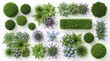 © DesignerKamran99 - Top view collection of garden plants flowers and shrubs for landscape design.