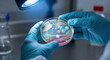 © OPP-786 - Antimicrobial resistance testing laboratory with petri dish held by gloved hands bright light showing bacterial growth and antibiotic discs