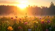 © Ronal - A vibrant meadow of wildflowers glows under the warm light of a rising morning sun.