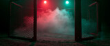 Smoke effect is around the Mix martial arts stage , red and green spot light is background , action cinematic.