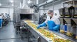 © Maryia - Frozen food production line with worker checking vegetables on conveyor, showing clean industrial freezing, sorting, weighing and packaging workflow in modern factory setting.