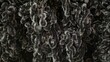 © RiyanBudi - An abstract texture made of black, hairy fibers with a dense organic pattern and rich detail. Suitable for use as a background, design element, textile concept, material, and industrial use.