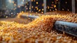 © liubovsolo - Golden corn kernels pouring and spreading out vividly under bright lighting in agricultural storage