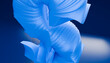 © Connect Images - Abstract blue sculpture with smooth, flowing curves against a dark background.