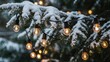 © Shahrear - Christmas string lights glowing on a snow-covered pine tree branch in winter