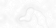 © AFROZAOPORNA - Topographic contour lines grid map pattern design.topography white background and black line wireframe isoline location diagram world map texture design.geographic grid map.
