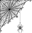 © Morjina - Black and white spider and intricate web illustration