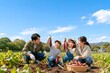 © snow-aiai - 秋のさつまいも畑で芋掘り体験を楽しむ家族4人 食育と収穫の喜びイメージ（AI生成）
