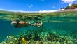 © Kaniaaaaa - Tropical island paradise with vibrant coral reef and sea