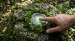 © Marta - Futuristic concept of a biometric fingerprint scanner integrated directly into a moss-covered natural rock in a forest setting, symbolizing the fusion of nature and advanced techno