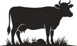 © PINKI - Black silhouette of a farm cow standing on grass field with horns and udder isolated on white background