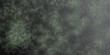 © Patrick Tappe - Abstract dark textured background with green scattered speckled particles creating an organic grunge surface. Gradient transitions from dense, dark detail on the left to green tones