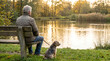 © FrameFlow - Elderly man in quilted jacket with small dog on leash, with golden sunset reflection on water, sitting on wooden park bench looking at a lake, scenic autumn park, lifestyle photography