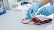 © Taras Roshchuk - A health worker in a laboratory prepares a blood bag filled with red liquid. Gloves are worn while handling tubes and syringes. The setting shows equipment and supplies used in blood processing