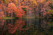 © matsukiyo - 紅葉風景写真、日本の秋季節