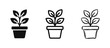 © drawing lines - Potted plant icon set, houseplant and nature symbols in glyph, line, and hand-drawn sketch styles