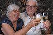 © luciano - Senior couple toasting with white wine, celebrating happy moments together, enjoying retirement, smiling and looking joyful during a special evening event