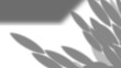© nijom - vector illustration of an abstract background with butterflies