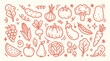 © Arshad - Collection of hand drawn fresh fruit and vegetable doodles with decorative accents for healthy living and culinary design projects