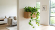 © PrarthonaFahmida - Modern interior home wall featuring wooden planter and cascading houseplant