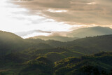 160_f_2069654535_h024n4cq3ohfhevg4shkdgovacaut40y