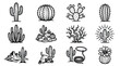 © Rejeki - Collection of Hand Drawn Desert Cacti and Western Elements.