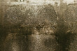 © Quality Stock Arts - old grunge dirty aged rough dirty concrete wall texture. dry rain mold stain surface for background.