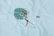 © deagreez - Full art creative image photo collage of happy girl guy stand scribble bubble communication icon hand point index finger chatterbox