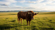 © SnapVibe - Brown bull standing in green grass field.