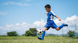 サッカーをする小学生の男の子 芝生のグラウンド コピースペース