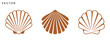 © Badman - Scallop Shell Icons, seashell vector art, scallop shell line art and solid silhouette, Vector illustration