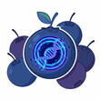 © Tisa - Genetically modified blueberry illustration with glowing DNA helix symbol inside a blue berry fruit.