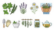© Angsa - Herbal tea and gardening icons for natural wellness