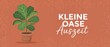 © Fernando - Potted houseplant vector banner design with German text Kleine Oase Auszeit on terracotta background, perfect for wellness, relaxation, self-care, and home gardening blog graphic banner layouts.