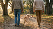 © Tattiebaum - Two men walking with dog on leash in autumn park. Male friends strolling together on pathway surrounded by trees during sunset. Concept of friendship, canine companionship, leisure activity.