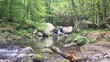 © Cybermix - Torrente di montagna