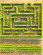 © AmazingAerialAgency - Aerial view of a large green corn maze with intricate paths set within agricultural fields, Hod Hasharon, Center District, Israel.