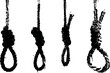 © smth.design - Four hanging nooses tied with rough rope in different styles isolated on white background