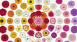 © NayaiP - Composition florale vibrante et colorée, représentant une multitude de fleurs illustrées dans un motif circulaire et décoratif, évoquant la beauté de la nature et le printemps.