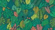© Hmen - Patrón sin costuras de hojas tropicales dibujadas a mano con una variedad de follaje exótico en tonos verdes y rosados sobre un fondo oscuro para diseño decorativo