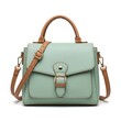© Visol Studio - Stylish grey leather handbag with brown straps and a metal buckle closure for women fashion accessory for daily use